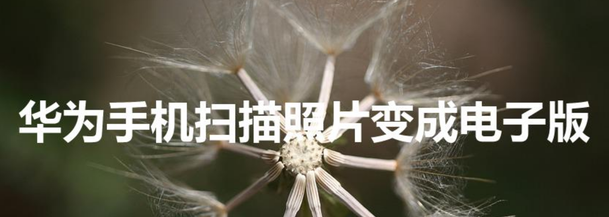 华为手机扫描照片变成电子版（华为手机图片怎么变成电子版）-第1张图片