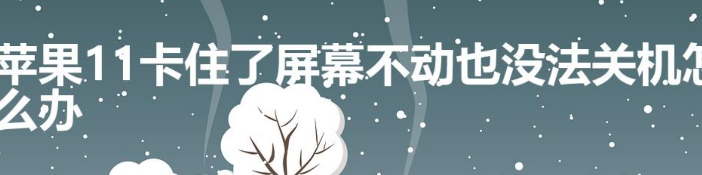 苹果11卡住了屏幕不动也没法关机怎么办-第1张图片
